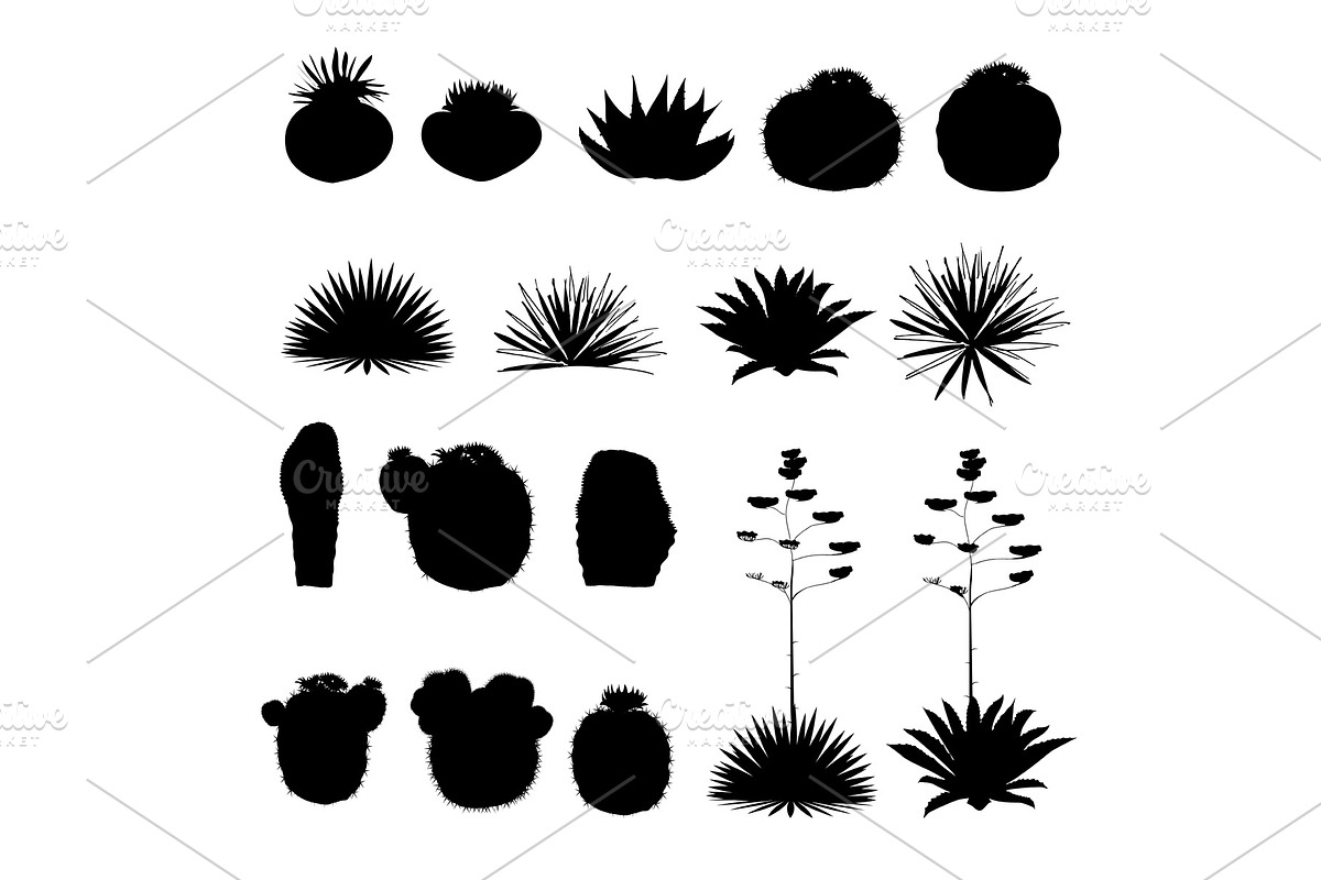 Black silhouettes of round cacti and blue agave. Vector collection in Illustrations - product preview 8