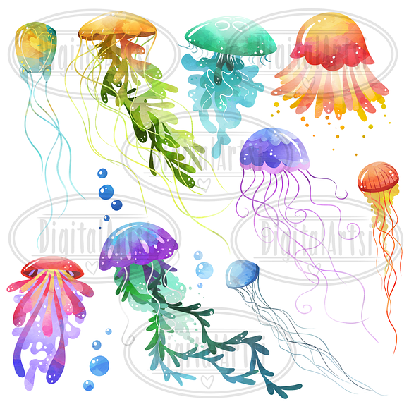 Watercolor Jellyfish Clipart in Illustrations - product preview 1