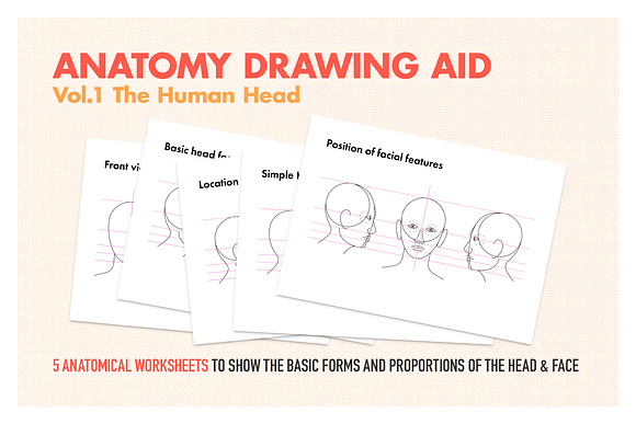 Anatomy Drawing Aid - The Human Head in Illustrations - product preview 5