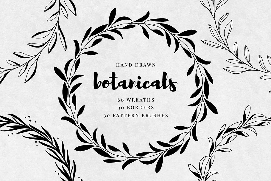 Hand Drawn Wreaths and Borders in Illustrations - product preview 8