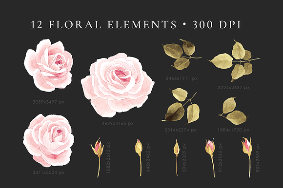 Roses – wedding set in Wedding Templates - product preview 8