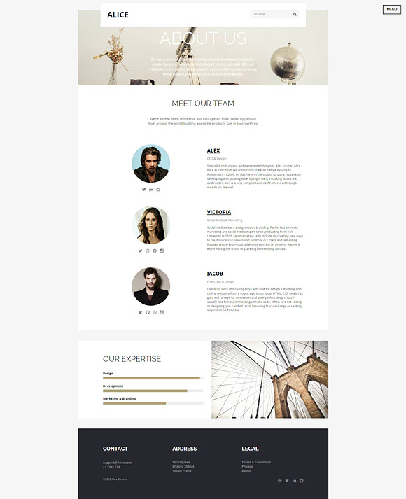 Alice: Multi-Purpose HTML Template in HTML/CSS Themes - product preview 2