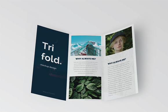 Trifold Brochure Mock-Up Set in Print Mockups - product preview 5