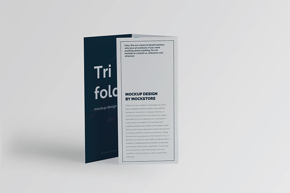 Trifold Brochure Mock-Up Set in Print Mockups - product preview 6