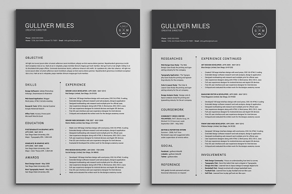 2 Pages Resume CV | Extended Pack in Letter Templates - product preview 1