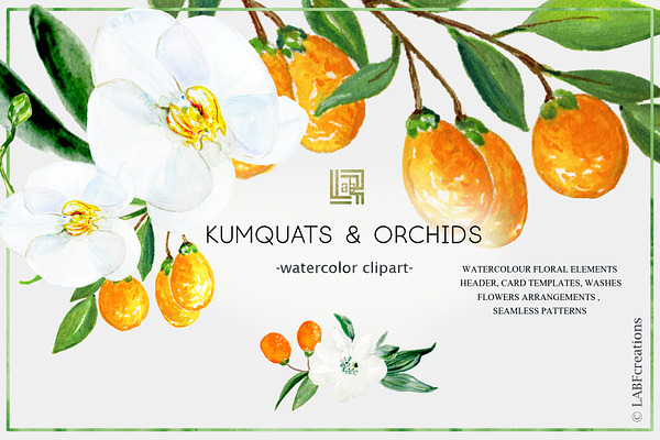 Kumquat & white orchids Tropical