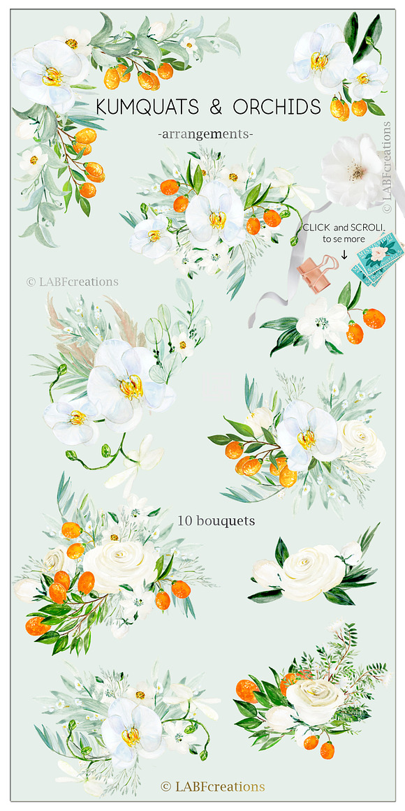 Kumquat & white orchids Tropical in Illustrations - product preview 1