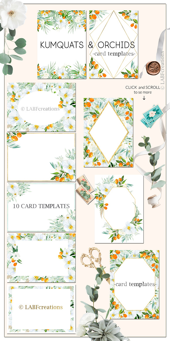 Kumquat & white orchids Tropical in Illustrations - product preview 2