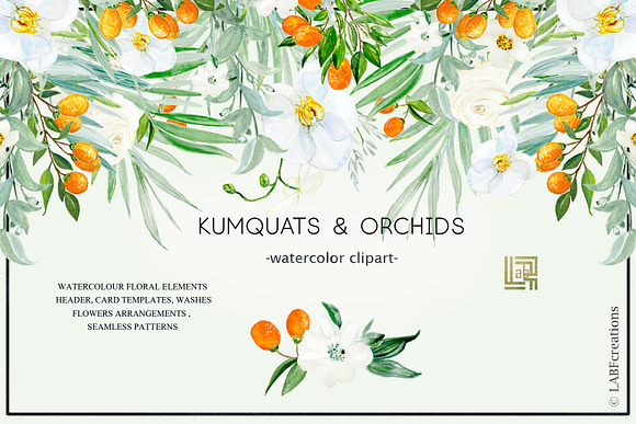 Kumquat & white orchids Tropical in Illustrations - product preview 3