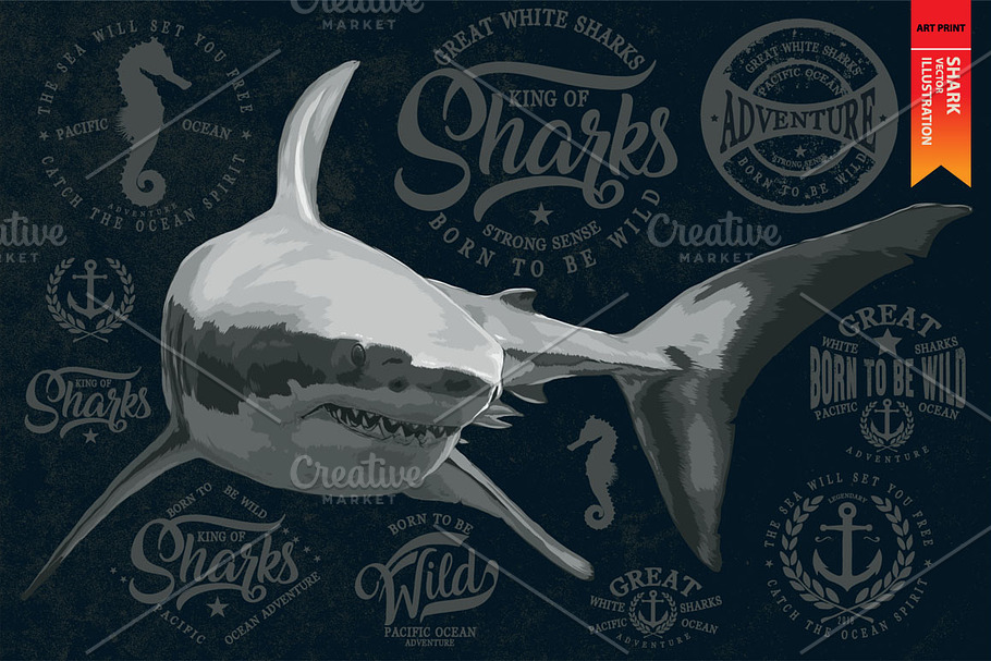 SHARK - Vector illustration