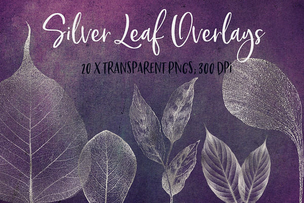 Silver leaf overlays