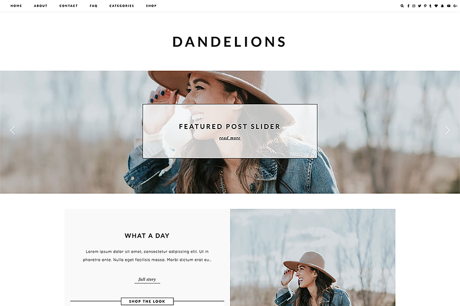 Wordpress Theme - Dandelions in WordPress Blog Themes - product preview 8