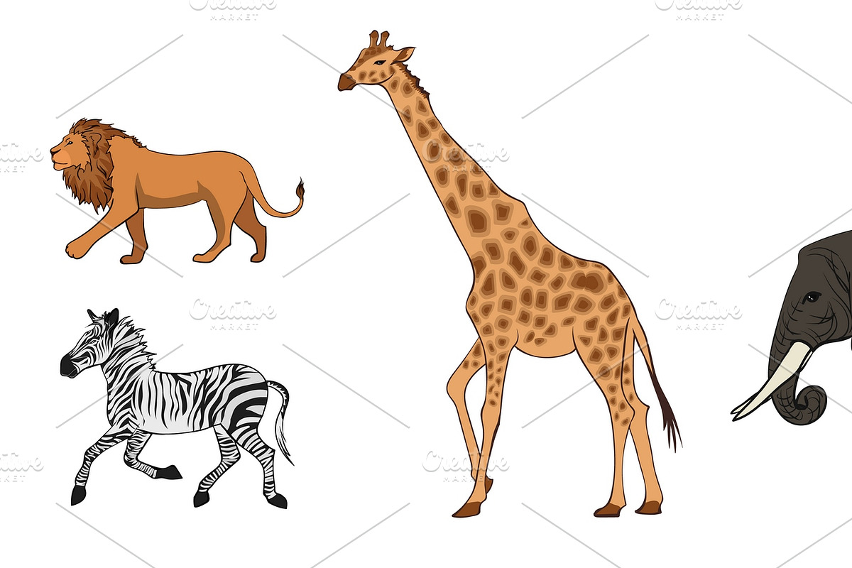 Colorful African Wild Animals Set in Graphics - product preview 8
