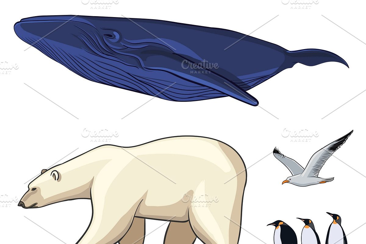 Colorful Arctic Animals Set in Icons - product preview 8