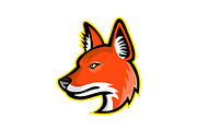 Dhole or Asiatic Wild Dog Mascot