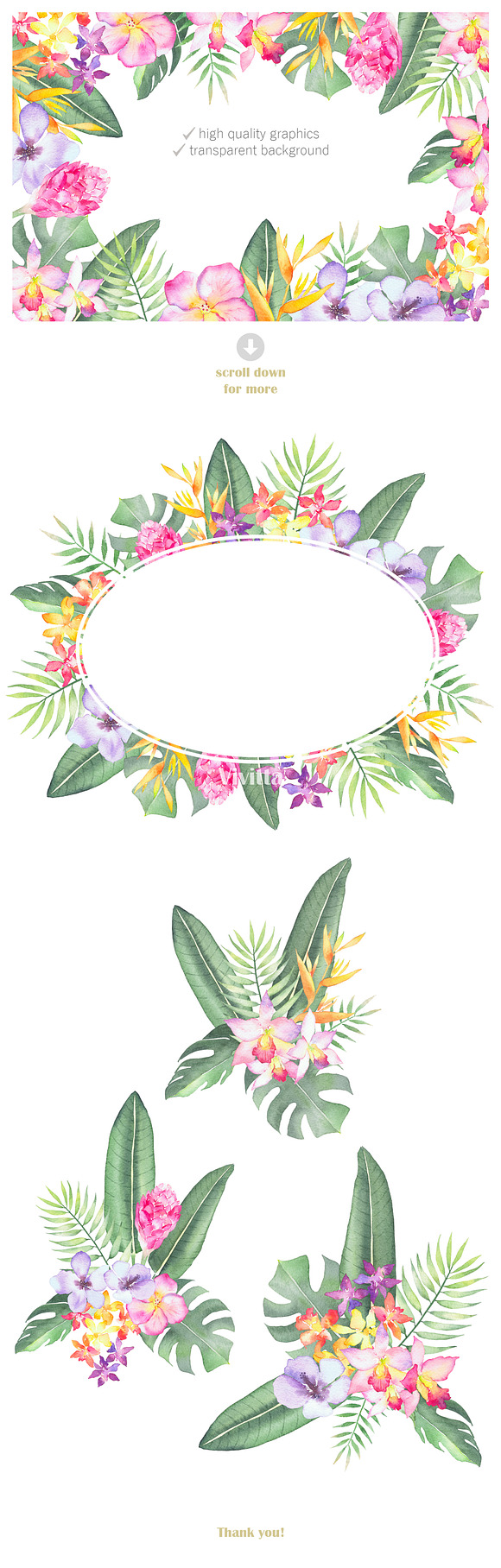 Tropical Flora, watercolor clipart in Illustrations - product preview 5