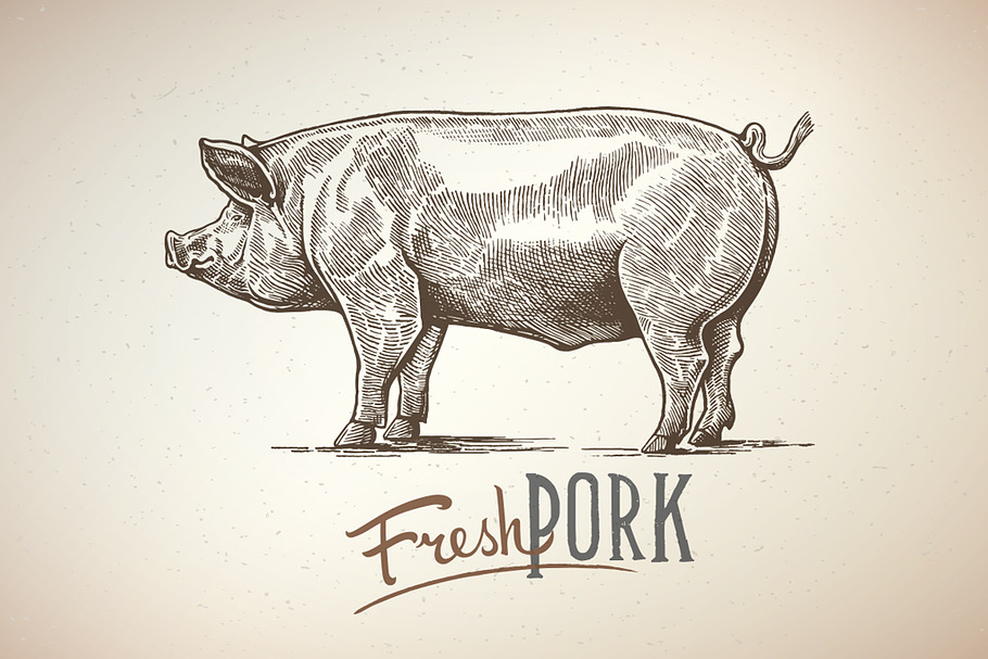 Pigs in graphical style in Illustrations - product preview 8