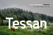 Tessan Sans - Modern Typeface + WebF