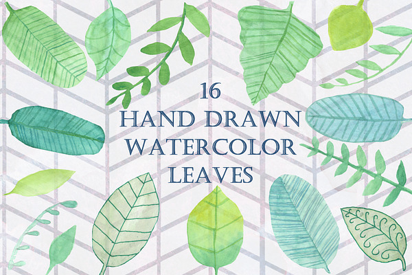 16 Handpainted Watercolor Leaves