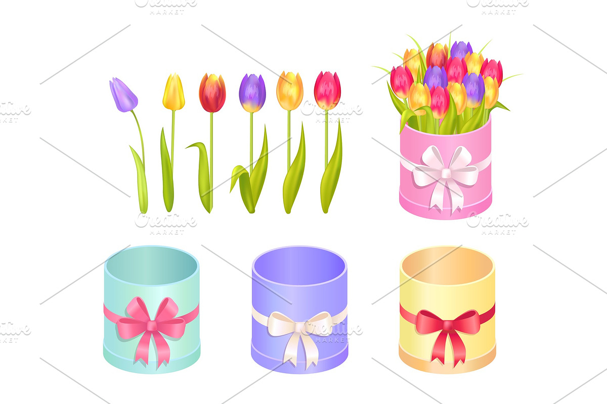 Boxes and Tulips Collection Vector Illustration in Illustrations - product preview 8