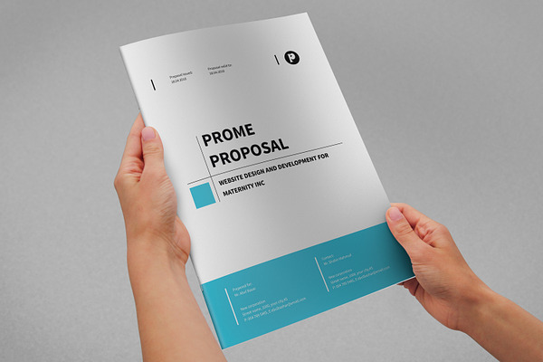 Proposal Template 02