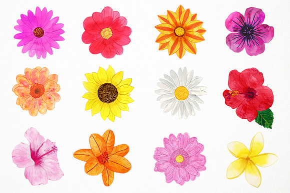 Watercolor Spring Flowers Clipart in Illustrations - product preview 1