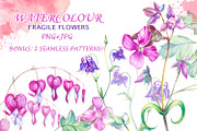 Fragile watercolor flowers