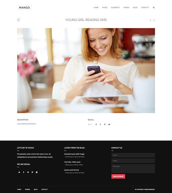 Mango - Portfolio&Business WP Theme in WordPress Business Themes - product preview 7