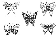 Butterfly, hand drawn vector 