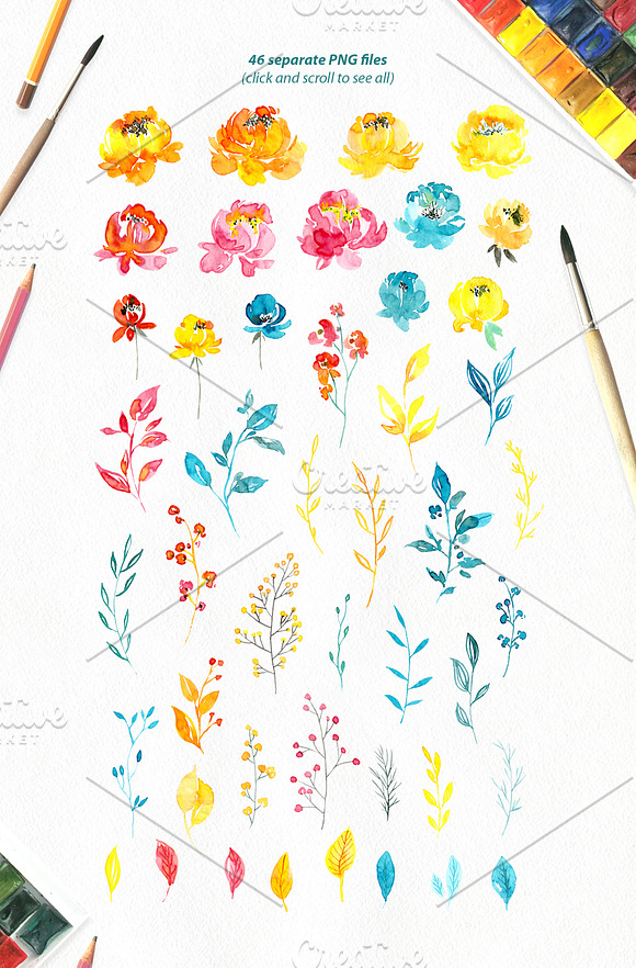 Watercolor Summer Flowers Collection in Illustrations - product preview 1