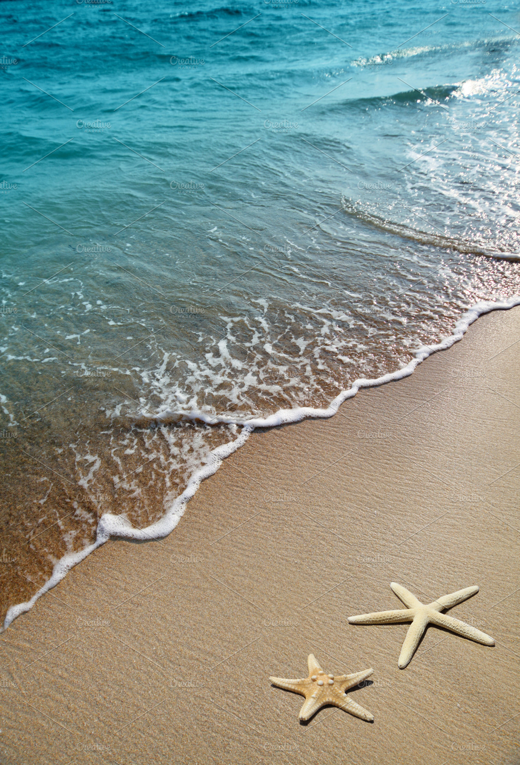 two starfish on a beach | High-Quality Stock Photos ~ Creative Market