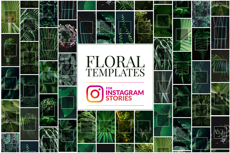 Floral Instagram Stories Templates in Instagram Templates - product preview 8