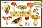 Collection of realistic mushrooms