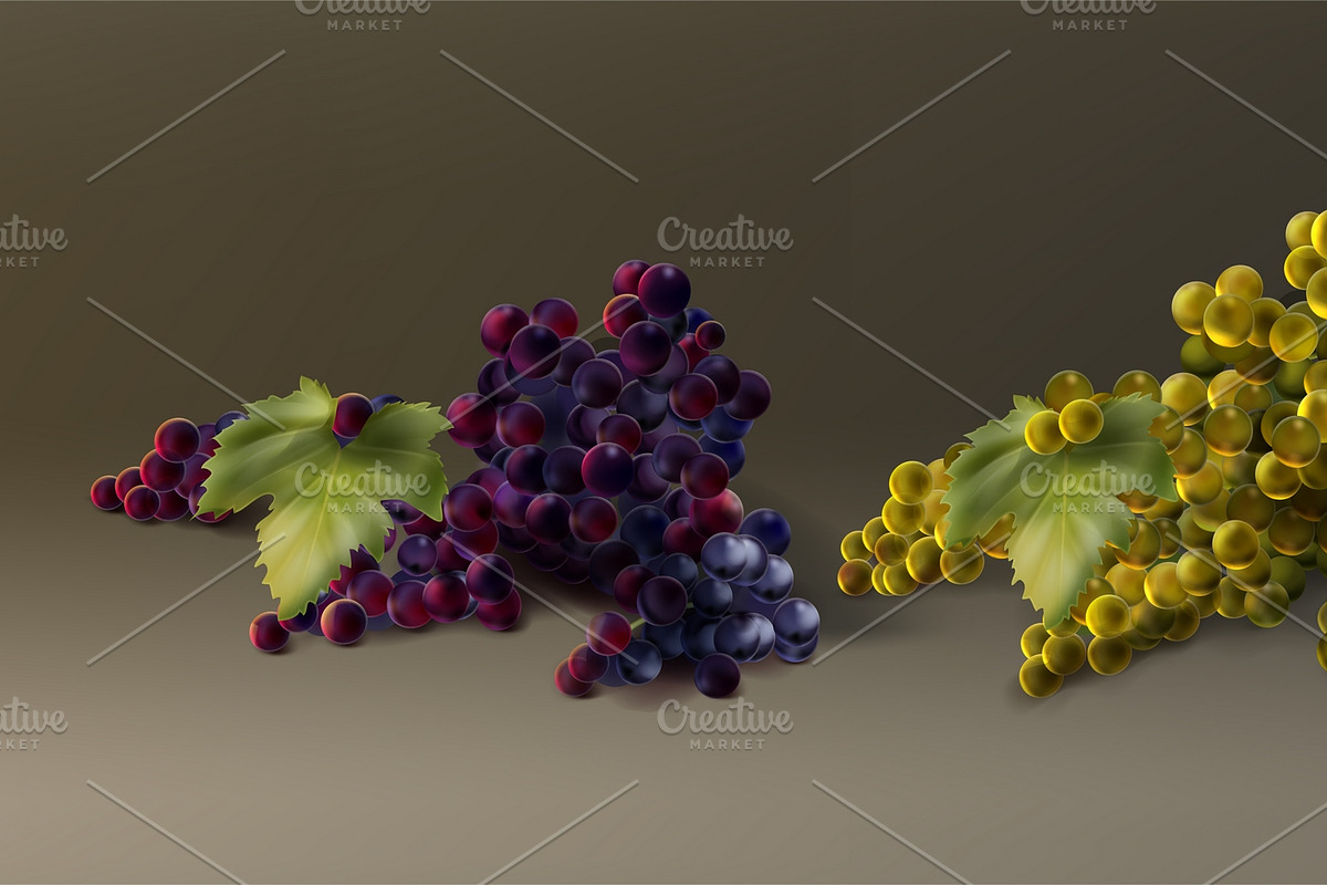 Bunch of grapes in Illustrations - product preview 8