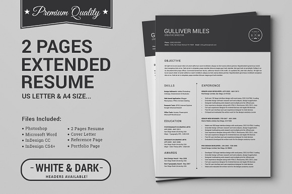 2 Pages Resume CV | Extended Pack in Letter Templates - product preview 4