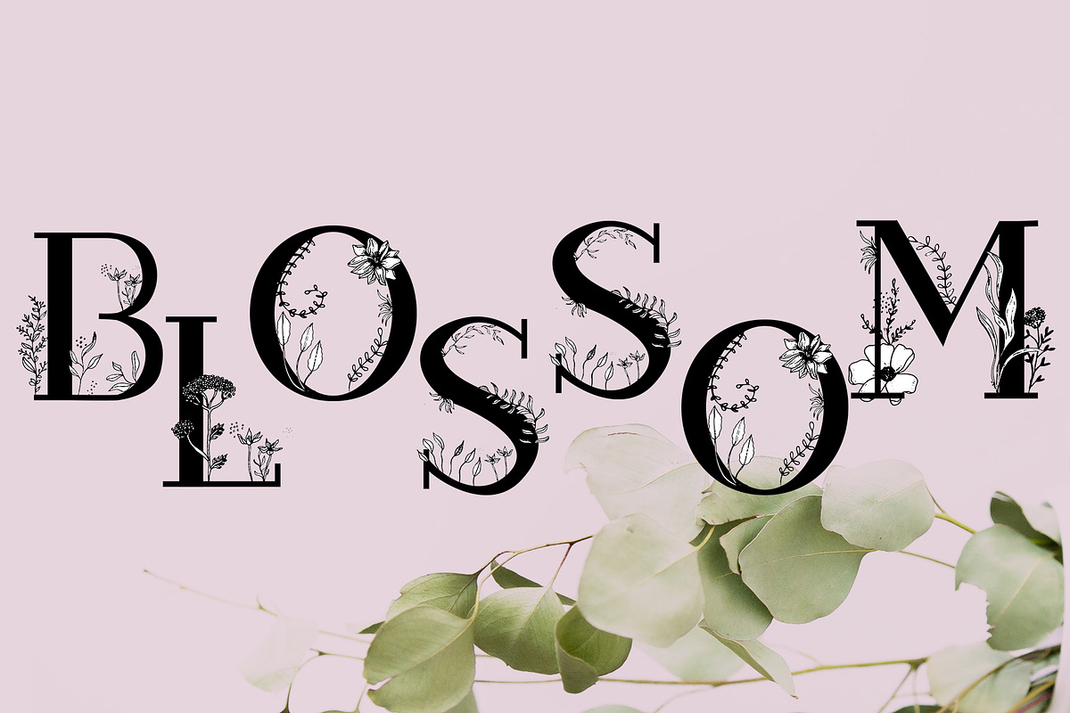 Blossom Font + EXTRAS in Slab Serif Fonts - product preview 8