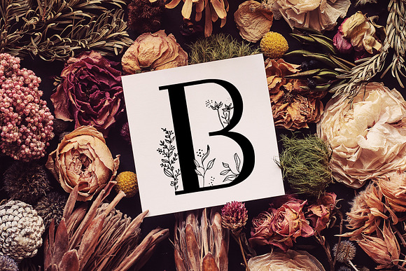 Blossom Font + EXTRAS in Slab Serif Fonts - product preview 6