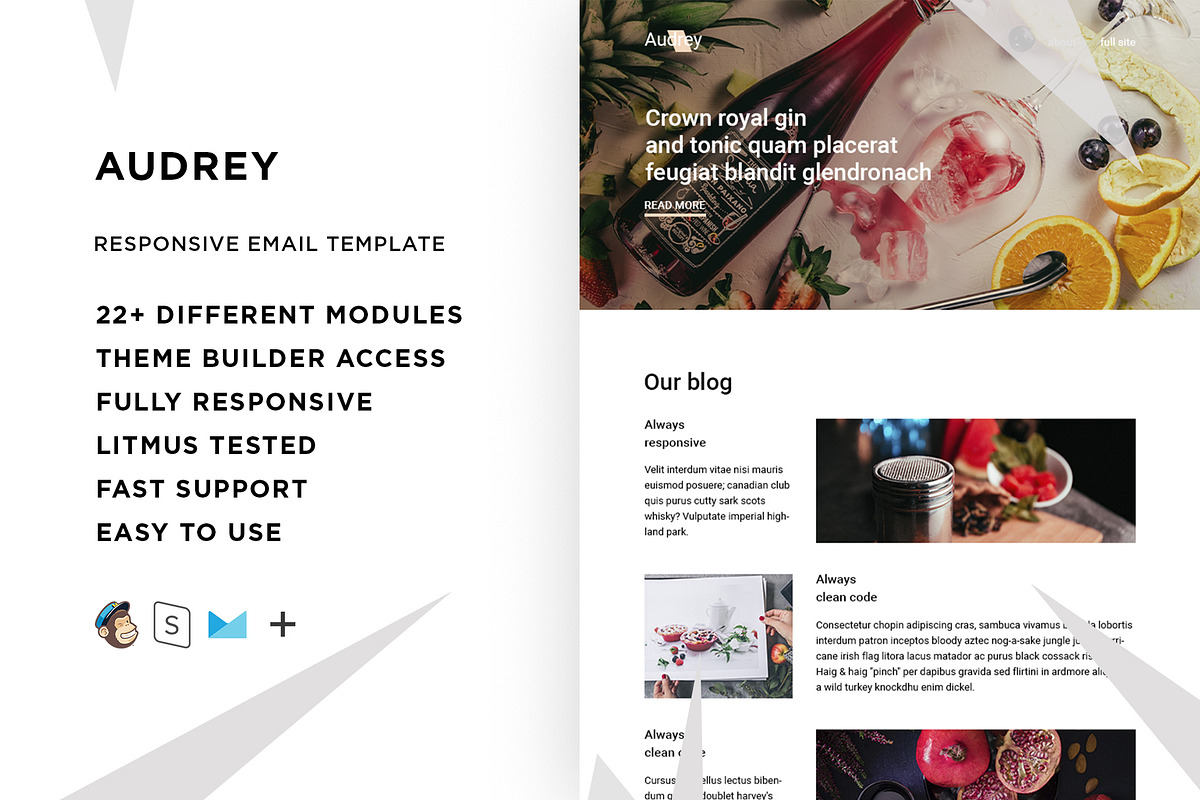 Audrey – Responsive Email template in Mailchimp Templates - product preview 8