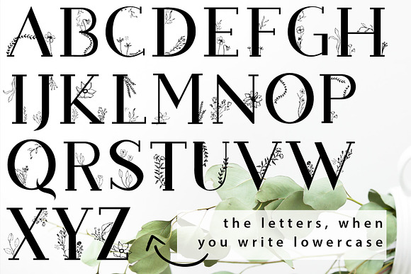 Blossom Font + EXTRAS in Slab Serif Fonts - product preview 12