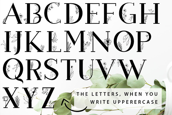 Blossom Font + EXTRAS in Slab Serif Fonts - product preview 13