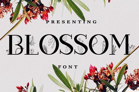 Blossom Font + EXTRAS in Slab Serif Fonts - product preview 17