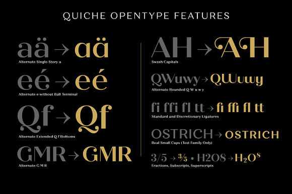 Quiche Font Family in Sans-Serif Fonts - product preview 14