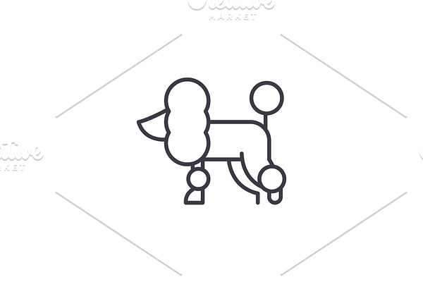 poodle vector line icon, sign, illustration on background, editable strokes