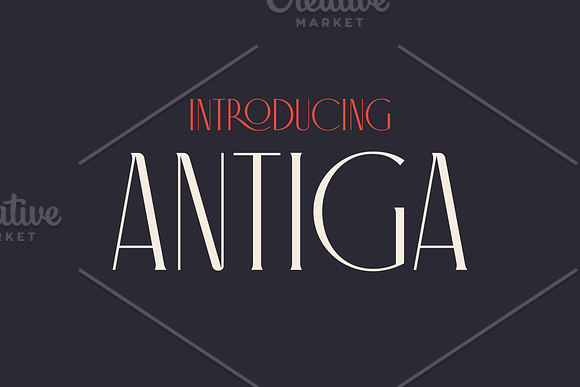 Antiga Typeface in Roman Fonts - product preview 7