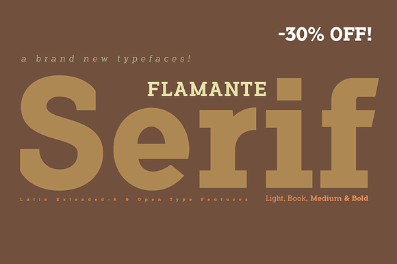 Flamante Serif -8 fonts- in Slab Serif Fonts - product preview 1