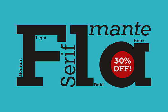 Flamante Serif -8 fonts- in Slab Serif Fonts - product preview 3