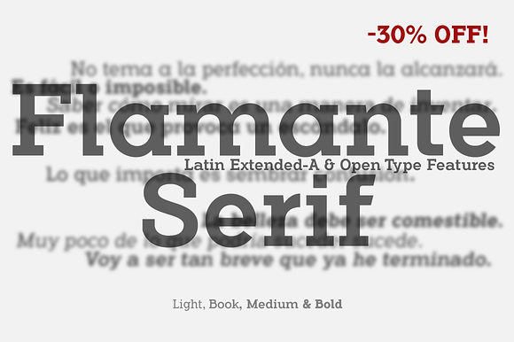 Flamante Serif -8 fonts- in Slab Serif Fonts - product preview 4