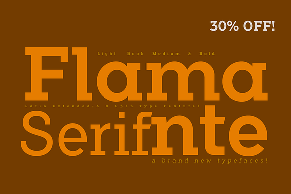 Flamante Serif -8 fonts- in Slab Serif Fonts - product preview 5