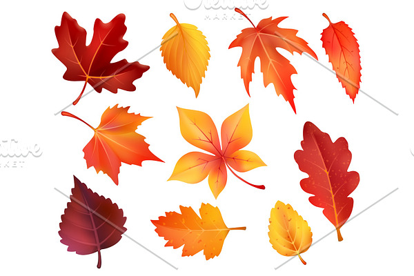 Autumn foliage leaf icons of vector falling leaves