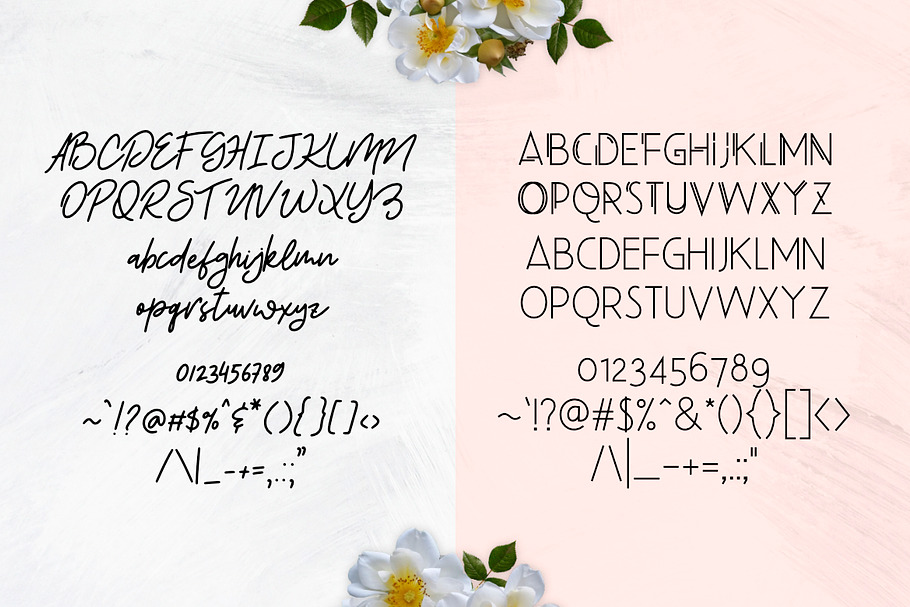 Beauty Salon Modern Font Duo in Modern Fonts - product preview 8